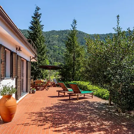 Mountain Views * Gerês
